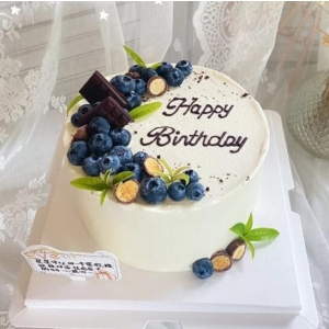 暗色系蓝莓-订蛋糕生日蛋糕预定同城蛋糕店配送