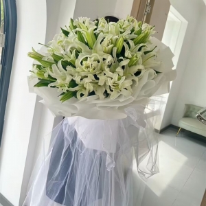 爱的相伴-99朵白香水百合，